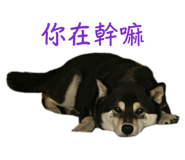 884538678
