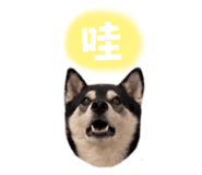 884538680