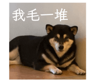 884538681