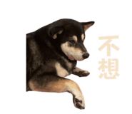 884538682