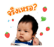 884546147