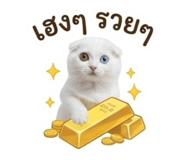 884553876
