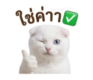 884553878