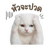 884553879