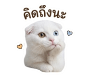 884553881