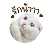 884553882