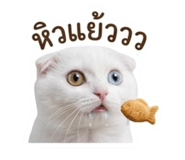 884553885