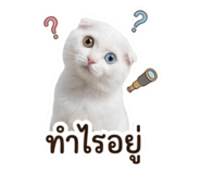 884553886