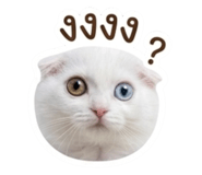 884553889