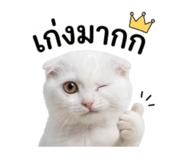 884553891