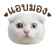 884553892