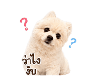 884559291