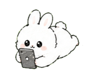 884560251