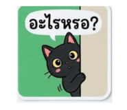 884561204