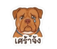 884566504