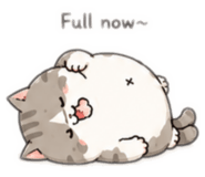884572721