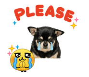 884575756