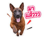 884576875