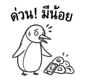 884579147