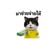 884580441