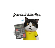 884580443