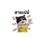 884580450