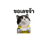 884580454