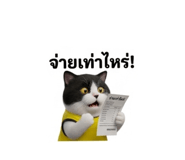 884580455