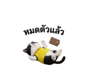 884580463