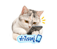 884584147