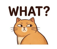 884584231
