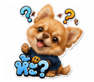 884584389