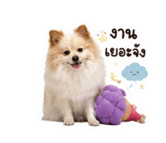 884584435