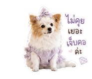 884584463