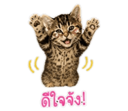 884584517