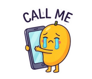 884585005