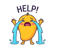 884585008