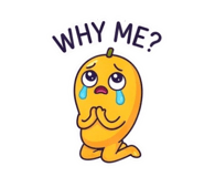 884585014