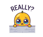884585017