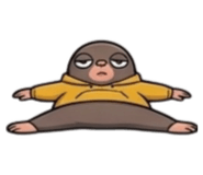 884587250