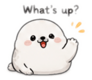 884596256