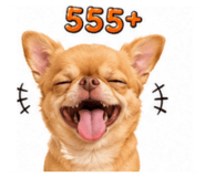 884600028