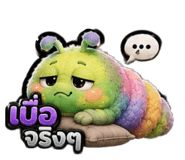 884605210