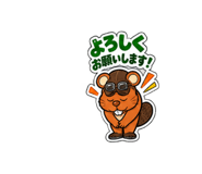 884638549