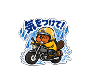884638557