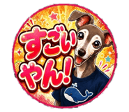 884638976
