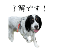 884638986