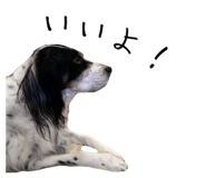 884638993