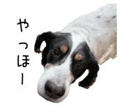 884638996