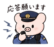 884639210